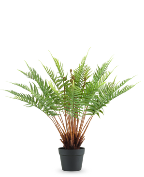La Planta Artificial Helecho 66 cm es un helecho artificial en maceta con hojas verdes largas y esponjosas y tallos marrones, sobre un fondo blanco liso.