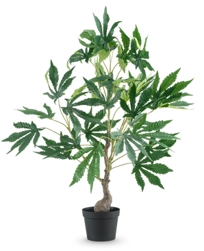 Planta Artificial Hojas de Cannabis de Cáñamo de 60 cm, con un tronco fino y varias ramas llenas de grandes y caprichosas hojas verdes, sobre un fondo liso y blanco.