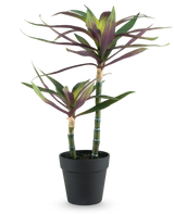 Una planta artificial Yucca gigantea de 53 cm con dos tallos verdes largos y delgados coronados con hojas puntiagudas de color verde y violeta en una maceta negra, sobre un fondo blanco.