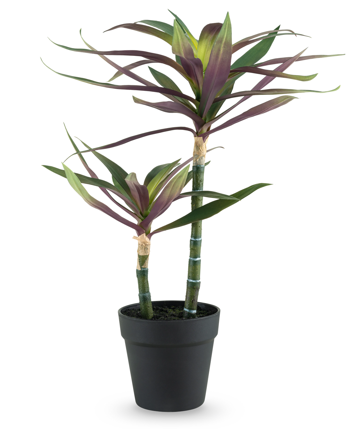 Una planta artificial Yucca gigantea de 53 cm con dos tallos verdes largos y delgados coronados con hojas puntiagudas de color verde y violeta en una maceta negra, sobre un fondo blanco.