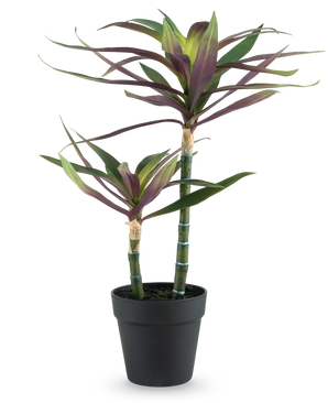 Una planta artificial Yucca gigantea de 53 cm con dos tallos verdes largos y delgados coronados con hojas puntiagudas de color verde y violeta en una maceta negra, sobre un fondo blanco.