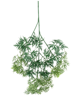 El spray Kunsttak Ming Aralia de 72 cm tiene hojas artificiales verdes, ligeras como una pluma, con bordes finos en forma de agujas en diferentes tonos de verde, que cuelgan boca abajo sobre un fondo blanco.