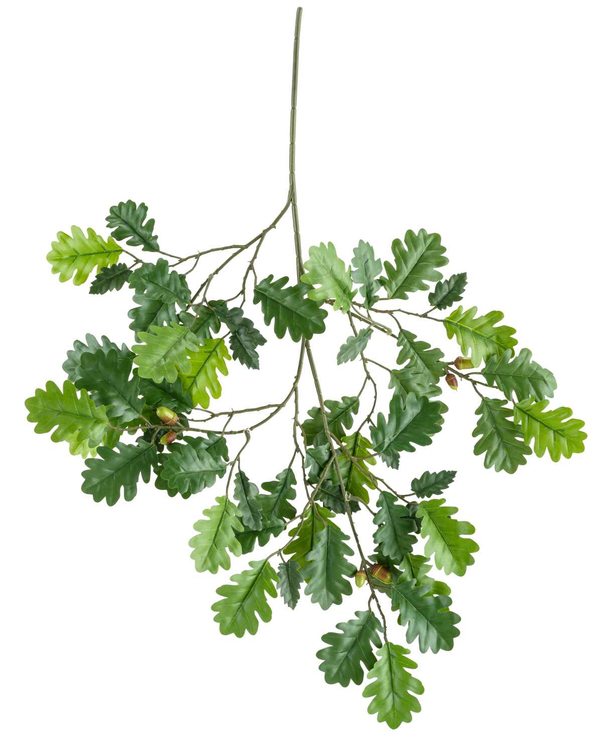 La Rama Artificial Rama de Roble 67 cm FR tiene una rama con varias hojas de roble verdes y algunas bellotas sobre un fondo blanco.