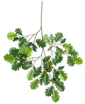 La Rama Artificial Rama de Roble 67 cm FR tiene una rama con varias hojas de roble verdes y algunas bellotas sobre un fondo blanco.