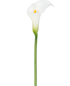 Un lirio artificial de 84 cm de color blanco con un corazón amarillo.