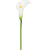 Un lirio artificial de 84 cm de color blanco con un corazón amarillo.