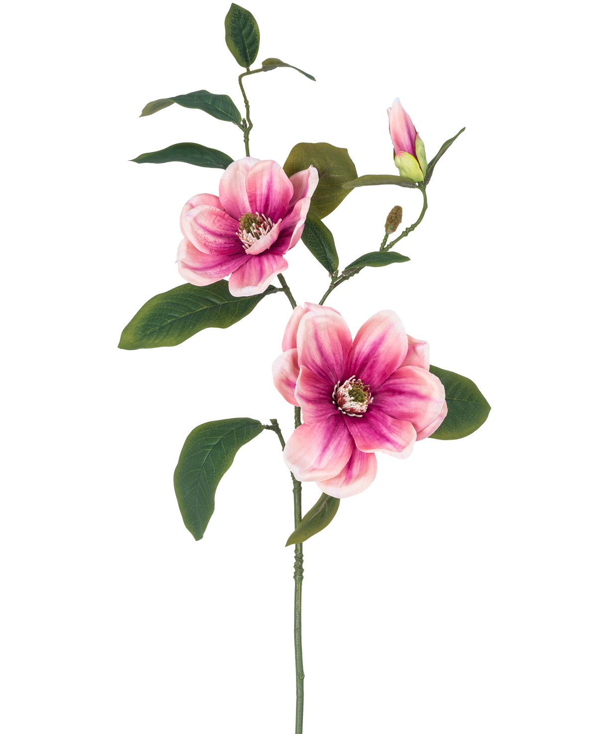 La flor artificial Magnolia 82 cm rosa/blanco tiene un solo tallo con dos grandes flores de magnolia rosa-blanca, un capullo y varias hojas de color verde oscuro, sobre un fondo blanco liso.
