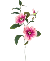 La flor artificial Magnolia 82 cm rosa/blanco tiene un solo tallo con dos grandes flores de magnolia rosa-blanca, un capullo y varias hojas de color verde oscuro, sobre un fondo blanco liso.
