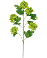 La rama artificial Snowball 77 cm verde tiene un solo tallo con varios ramos de flores redondas de color amarillo verdoso y hojas dentadas de color verde oscuro, todo ello sobre un fondo blanco.