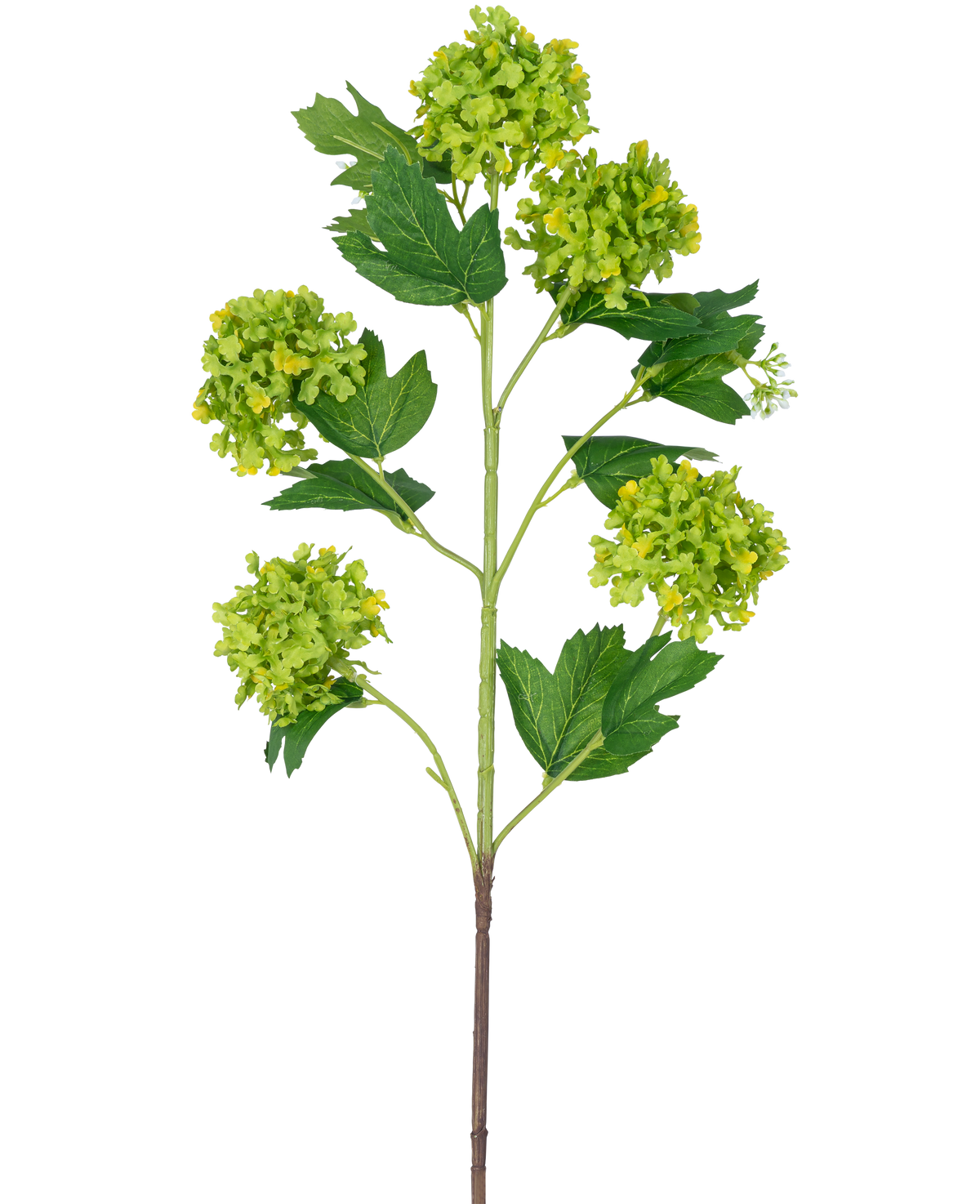 La rama artificial Snowball 77 cm verde tiene un solo tallo con varios ramos de flores redondas de color amarillo verdoso y hojas dentadas de color verde oscuro, todo ello sobre un fondo blanco.