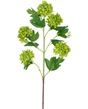 La rama artificial Snowball 77 cm verde tiene un solo tallo con varios ramos de flores redondas de color amarillo verdoso y hojas dentadas de color verde oscuro, todo ello sobre un fondo blanco.