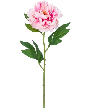 Una sola flor artificial de peonía de 77 cm de color rosa claro con exuberantes hojas verdes sobre un fondo blanco liso.