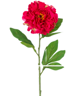 La peonía artificial roja de 77 cm es una peonía artificial única con una flor grande y vibrante de color rojo y hojas verdes en un tallo largo, representada sobre un fondo blanco.
