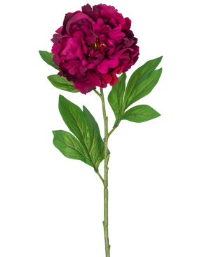 Una sola flor artificial de peonía con tallo de berenjena artificial de 77 cm, que muestra una peonía de color magenta intenso con algunas hojas verdes, sobre un fondo blanco liso.
