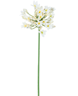 La Flor Artificial Agapanthus 77 cm blanca tiene un único tallo alto de color verde con un ramo de pequeñas flores blancas con un corazón amarillo, sobre un fondo blanco liso.