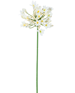 La Flor Artificial Agapanthus 77 cm blanca tiene un único tallo alto de color verde con un ramo de pequeñas flores blancas con un corazón amarillo, sobre un fondo blanco liso.