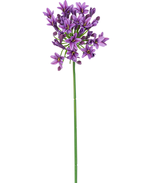 Un único tallo largo y verde con una pequeña flor artificial morada en forma de estrella Agapanthus de 77 cm de flores moradas que florecen en la parte superior, aisladas sobre un fondo blanco.