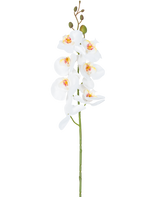 La orquídea artificial de 84 cm blanca tiene un único tallo de flores de orquídeas blancas con corazones amarillos y rosas y capullos verdes en la parte superior, sobre un fondo blanco liso.