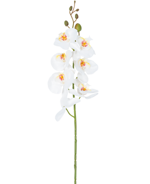 La orquídea artificial de 84 cm blanca tiene un único tallo de flores de orquídeas blancas con corazones amarillos y rosas y capullos verdes en la parte superior, sobre un fondo blanco liso.