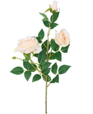 La Rosa Artificial Neo deluxe 75 cm beige tiene un solo tallo con dos rosas en flor de color beige claro, un capullo de rosa y varias hojas verdes, sobre un fondo blanco liso.