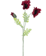 La Flor Artificial Amapola 73 cm burdeos tiene un solo tallo con dos flores abiertas de amapola de color rojo oscuro, un capullo y varias hojas dentadas de color verde sobre un fondo blanco.