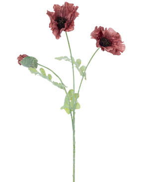Ilustración en acuarela de la Flor de Amapola artificial de 73 cm color malva, con tres flores de color rojo oscuro con tallos y hojas verdes, sobre un fondo liso blanco.