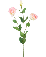 El Eustoma artificial Real Touch rosa claro de 72 cm tiene un único tallo verde con dos flores de color rosa claro y un capullo cerrado, rodeado de hojas verdes, sobre un fondo blanco liso.