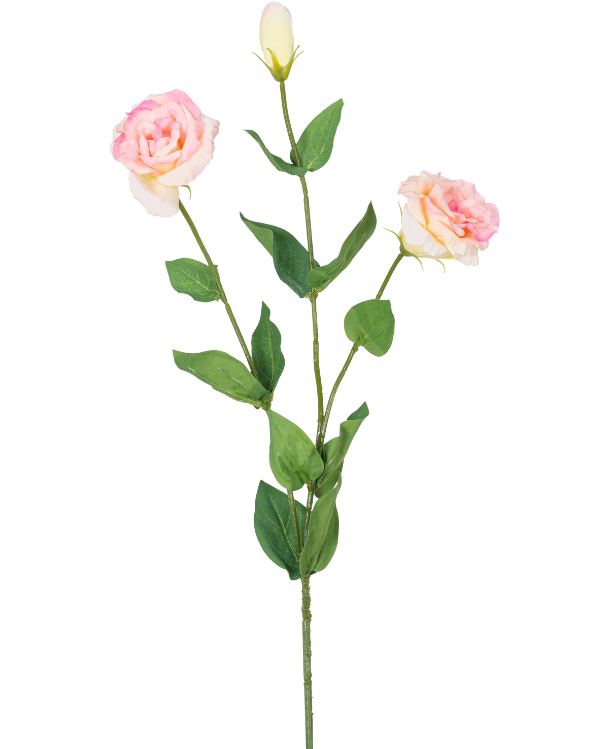 El Eustoma artificial Real Touch rosa claro de 72 cm tiene un único tallo verde con dos flores de color rosa claro y un capullo cerrado, rodeado de hojas verdes, sobre un fondo blanco liso.