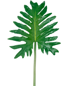 Un filodendro de hoja artificial de 68 cm, que presenta una gran hoja tropical verde con lóbulos profundos e irregulares y un largo tallo central, se muestra sobre un fondo blanco liso.
