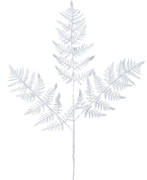 El helecho artificial en rama de 78 cm plateado tiene una delicada hoja de helecho de color gris claro con tres ramas principales de hojas finamente detalladas sobre un fondo blanco liso.