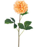 La Flor Artificial Dalia Real Touch Melocotón 73 cm tiene una sola dalia naranja melocotón con muchos pétalos sobre un largo tallo verde y varias hojas grandes de color verde con textura, sobre un fondo blanco liso.