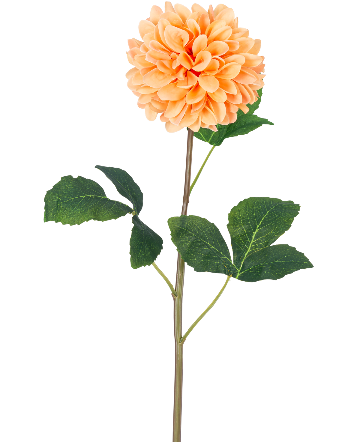 La Flor Artificial Dalia Real Touch Melocotón 73 cm tiene una sola dalia naranja melocotón con muchos pétalos sobre un largo tallo verde y varias hojas grandes de color verde con textura, sobre un fondo blanco liso.