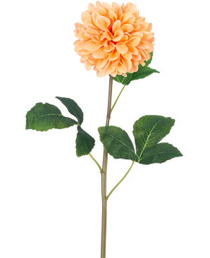 La Flor Artificial Dalia Real Touch Melocotón 73 cm tiene una sola dalia naranja melocotón con muchos pétalos sobre un largo tallo verde y varias hojas grandes de color verde con textura, sobre un fondo blanco liso.