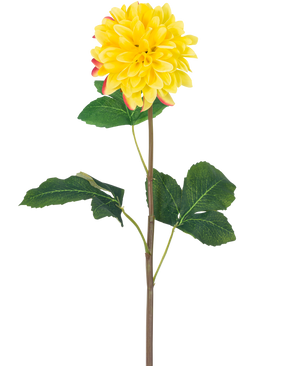 La Flor Artificial Dalia Real Touch Amarilla 73 cm es una única dalia amarilla con pétalos redondos y detalles en rojo, con un largo tallo verde y varias hojas grandes de color verde, sobre un fondo blanco.