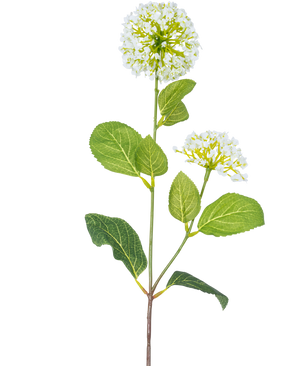 La Flor Artificial Bola de Nieve/Viburnum (70 cm) tiene dos ramos de pequeñas flores blancas y varias hojas verdes ovaladas sobre un tallo, sobre un fondo blanco.