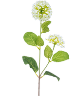 La Flor Artificial Bola de Nieve/Viburnum (70 cm) tiene dos ramos de pequeñas flores blancas y varias hojas verdes ovaladas sobre un tallo, sobre un fondo blanco.