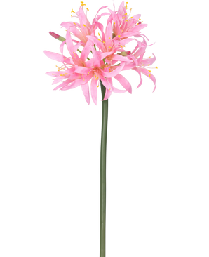 La flor artificial Nerine 70 cm rosa tiene un tallo alto de color verde con un racimo de delicadas flores de color rosa araña con pétalos largos y estambres amarillos, sobre un fondo blanco liso.