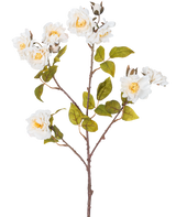 La Rosa Artificial Rama 72 cm blanca tiene un único tallo marrón con múltiples ramas, hojas verdes y varias flores grandes blancas con centro amarillo, aisladas sobre un fondo blanco.