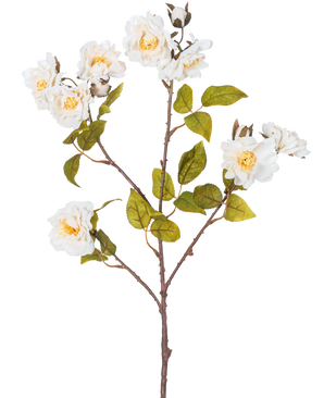 La Rosa Artificial Rama 72 cm blanca tiene un único tallo marrón con múltiples ramas, hojas verdes y varias flores grandes blancas con centro amarillo, aisladas sobre un fondo blanco.