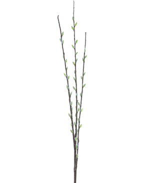 La flor artificial de sauce Salix de 70 cm tiene tres esbeltas ramas marrones con pequeños capullos verdes y amentos esponjosos de color gris claro, dispuestos a lo largo de los tallos sobre un fondo blanco liso.