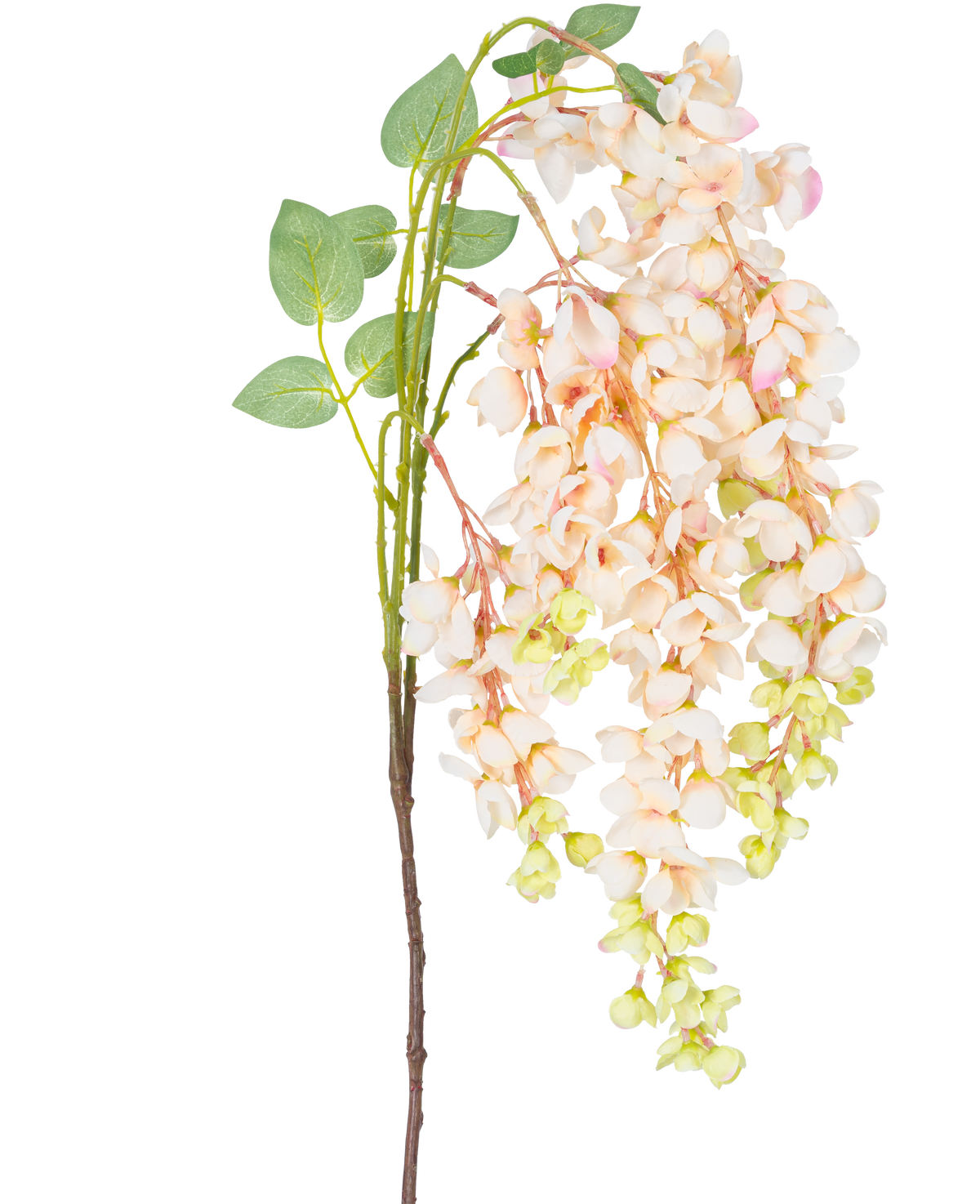 La Flor Artificial Glicina 100 cm crema tiene un solo tallo con ramilletes de flores de glicina rosa claro y crema, capullos verdes y hojas verdes sobre un fondo blanco.