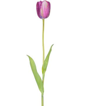 Una flor artificial de tulipán francés de 60 cm de color morado, un solo tulipán morado con hojas verdes y un tallo largo, aislado sobre un fondo blanco.