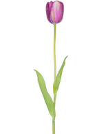Una flor artificial de tulipán francés de 60 cm de color morado, un solo tulipán morado con hojas verdes y un tallo largo, aislado sobre un fondo blanco.