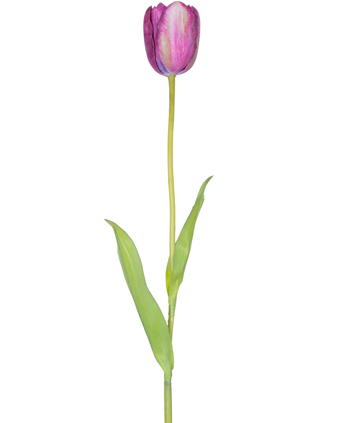 Una flor artificial de tulipán francés de 60 cm de color morado, un solo tulipán morado con hojas verdes y un tallo largo, aislado sobre un fondo blanco.
