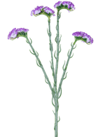 La rama artificial Statice de 64 cm violeta tiene un único tallo verde con cinco ramas, cada una cubierta con racimos de pequeñas flores violetas con volantes, sobre un fondo blanco.