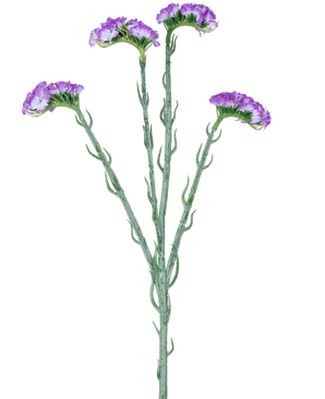 La rama artificial Statice de 64 cm violeta tiene un único tallo verde con cinco ramas, cada una cubierta con racimos de pequeñas flores violetas con volantes, sobre un fondo blanco.