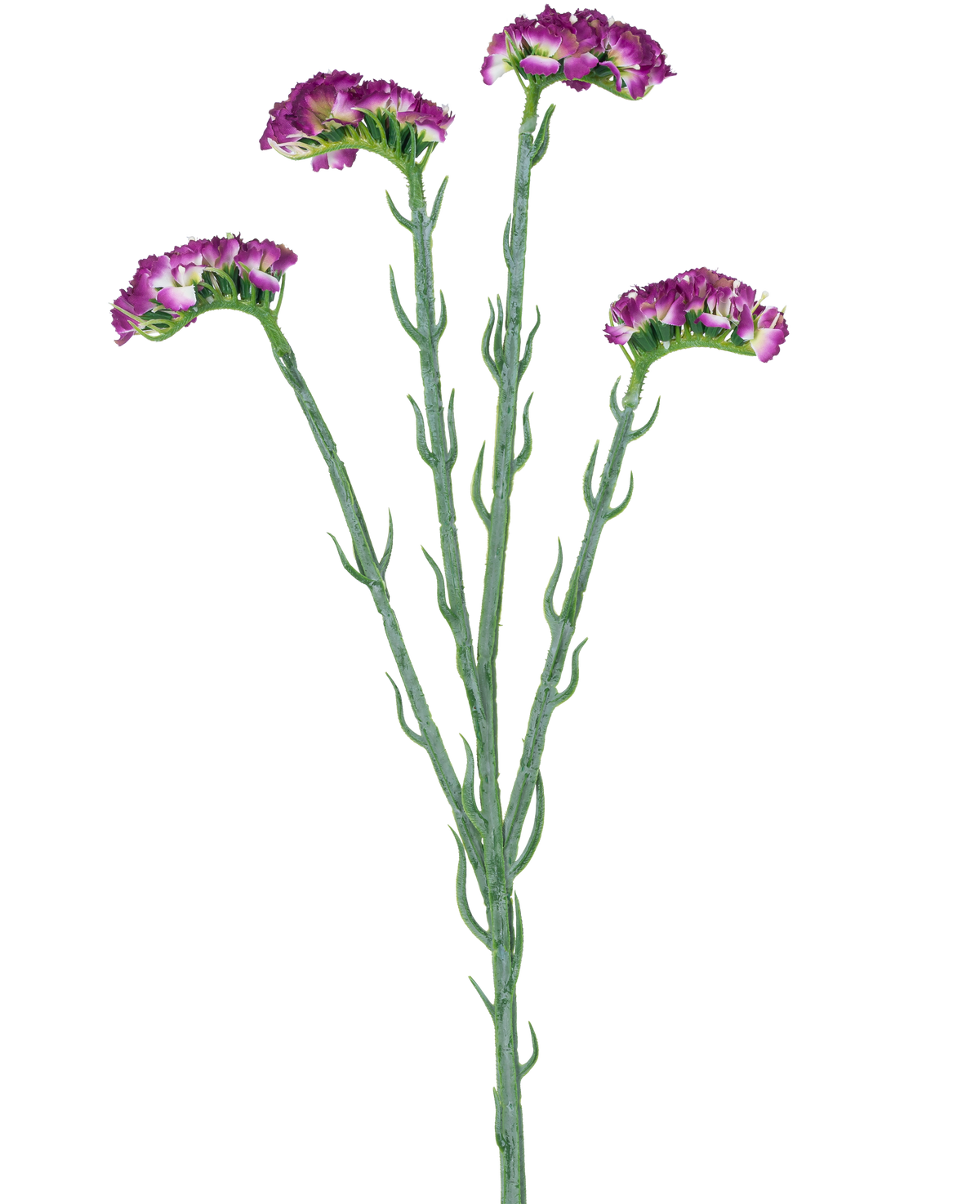 La rama artificial Statice de 64 cm de color violeta oscuro tiene tres tallos delgados de color verde con múltiples ramas, cada uno cubierto con una serie de pequeñas flores de color violeta oscuro con volantes, todas ellas sobre un fondo blanco.
