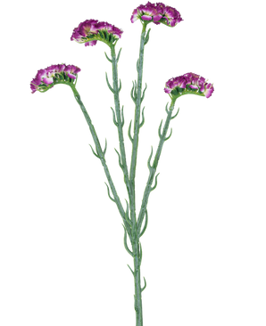 La rama artificial Statice de 64 cm de color violeta oscuro tiene tres tallos delgados de color verde con múltiples ramas, cada uno cubierto con una serie de pequeñas flores de color violeta oscuro con volantes, todas ellas sobre un fondo blanco.