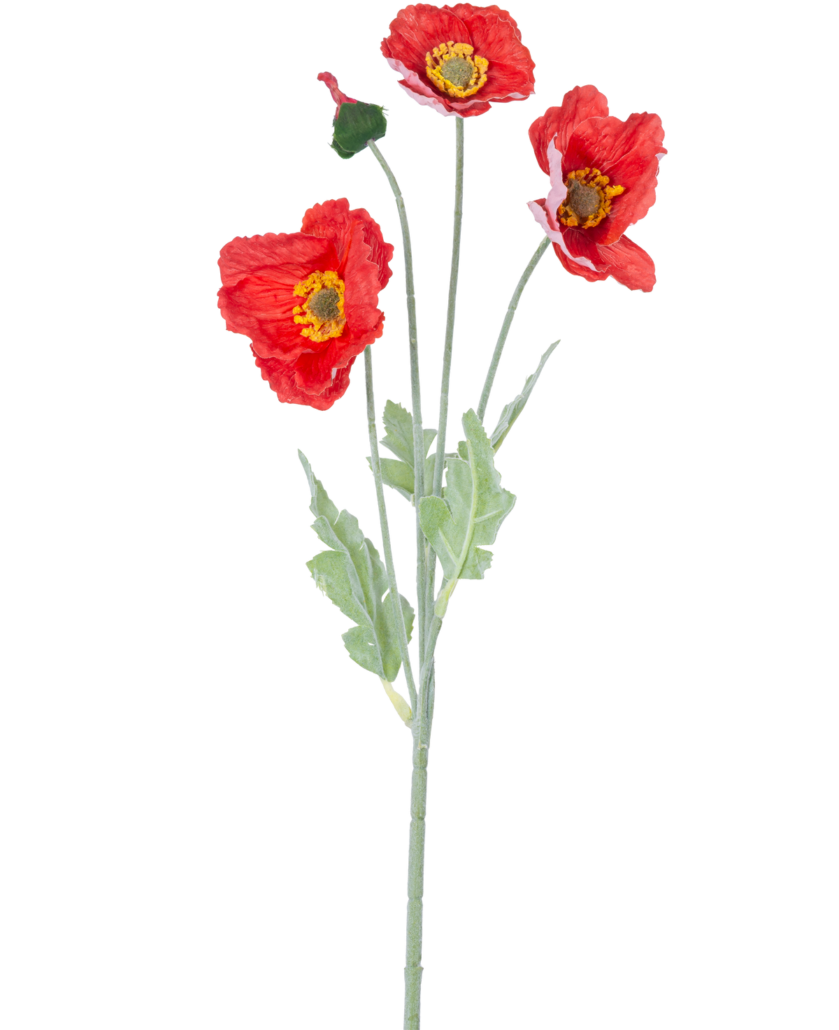 La Flor Artificial Amapola Real Touch roja 60 cm tiene un solo tallo con tres flores de amapola de color rojo vibrante, un capullo cerrado y hojas verdes, sobre un fondo blanco liso.