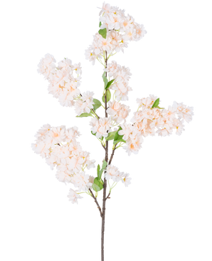 Una única rama de flor de cerezo artificial de 100 cm de color blanco/rosa con racimos de flores de cerezo de color rosa claro y blanco con hojas verdes, aisladas sobre un fondo blanco.
